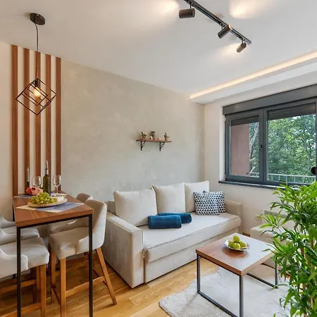 Apartment Rustic Vibe Zlatibor Palisat